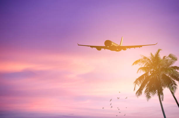 istock Airplane flying over tropical palm tree and sunset sky abstract background. Copy space of business summer vacation and travel adventure concept. Vintage tone filter effect color style. 1157475248