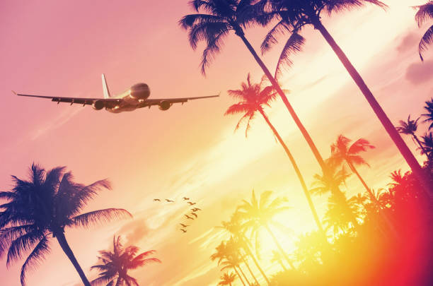 istock Airplane flying over tropical palm tree and sunset sky abstract background. Copy space of business summer vacation and travel adventure concept. Vintage tone filter effect color style. 1157475252