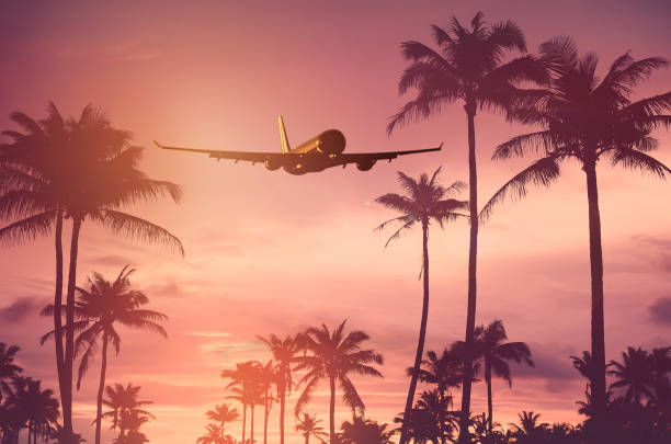 istock Airplane flying over tropical palm tree and sunset sky abstract background. Copy space of business summer vacation and travel adventure concept. Vintage tone filter effect color style. 1157475257