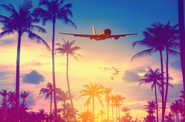 istock Airplane flying over tropical palm tree and sunset sky abstract background. Copy space of business summer vacation and travel adventure concept. Vintage tone filter effect color style. 1157475270