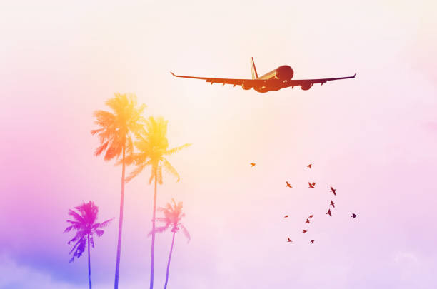 istock Airplane flying over tropical palm tree and sunset sky abstract background. Copy space of business summer vacation and travel adventure concept. Vintage tone filter effect color style. 1157475292