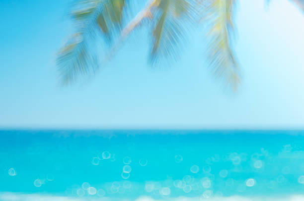 Blur beautiful nature green palm leaf on tropical beach with bokeh sun light wave abstract background. Copy space of summer vacation and business travel concept. Vintage tone filter effect color style desenfoque la hermosa hoja de palma verde de la naturaleza en la playa tropical con bokeh sol de onda de luz de fondo abstracto. copie el espacio de las vacaciones de verano y el concepto de viaje de negocios. estilo de color efecto de filtro de tono vinta