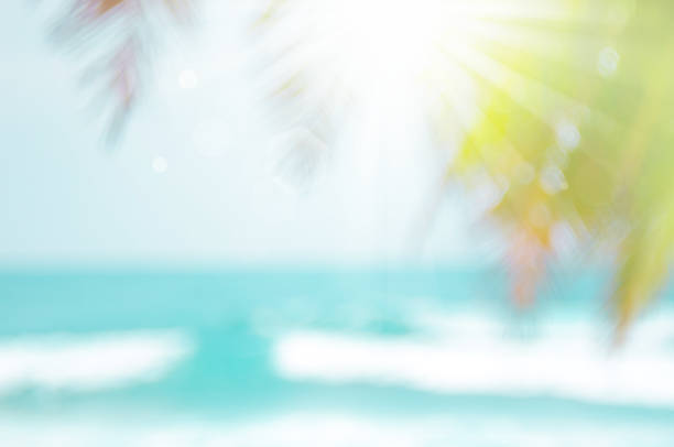 Blur beautiful nature green palm leaf on tropical beach with bokeh sun light wave abstract background. Copy space of summer vacation and business travel concept. Vintage tone filter effect color style desenfoque la hermosa hoja de palma verde de la naturaleza en la playa tropical con bokeh sol de onda de luz de fondo abstracto. copie el espacio de las vacaciones de verano y el concepto de viaje de negocios. estilo de color efecto de filtro de tono vinta