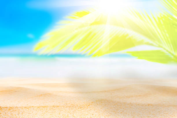 istock Blur beautiful nature green palm leaf on tropical beach with bokeh sun light wave abstract background. Copy space of summer vacation and business travel concept. Vintage tone filter effect color style 1157476382