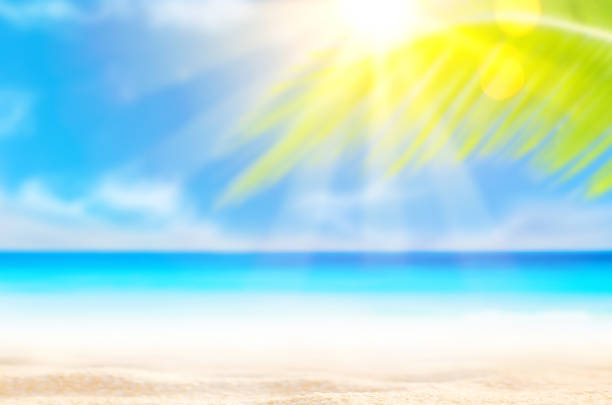 istock Blur beautiful nature green palm leaf on tropical beach with bokeh sun light wave abstract background. Copy space of summer vacation and business travel concept. Vintage tone filter effect color style 1157476399