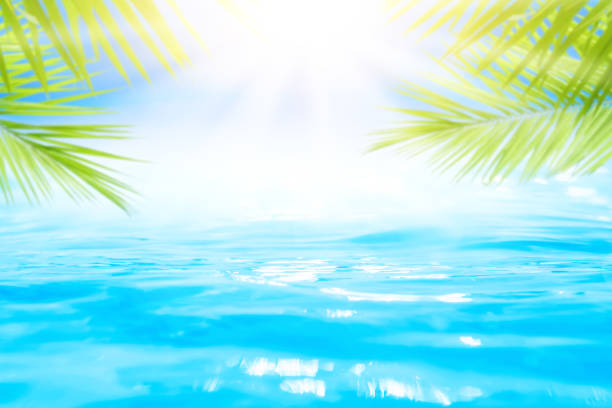 istock Blur beautiful nature green palm leaf on tropical beach with bokeh sun light wave abstract background. Copy space of summer vacation and business travel concept. Vintage tone filter effect color style 1157476402