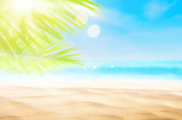 istock Blur beautiful nature green palm leaf on tropical beach with bokeh sun light wave abstract background. Copy space of summer vacation and business travel concept. Vintage tone filter effect color style 1157476403