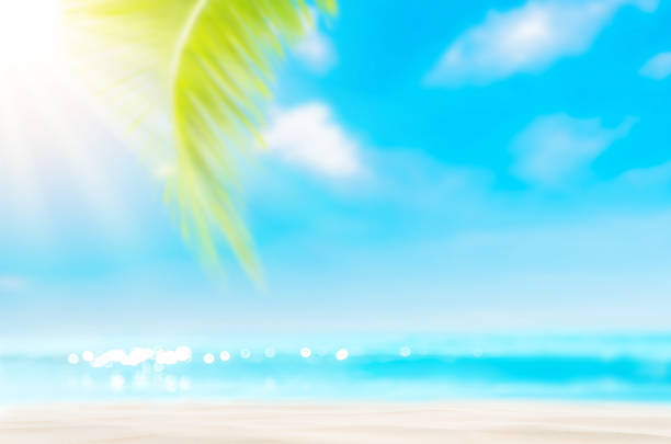 istock Blur beautiful nature green palm leaf on tropical beach with bokeh sun light wave abstract background. Copy space of summer vacation and business travel concept. Vintage tone filter effect color style 1157476487