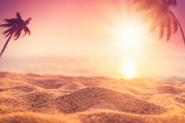 istock Blur beautiful nature green palm leaf on tropical sunset beach with bokeh light wave abstract background. Copy space of summer vacation and business travel concept. Vintage tone filter color style. 1157476489