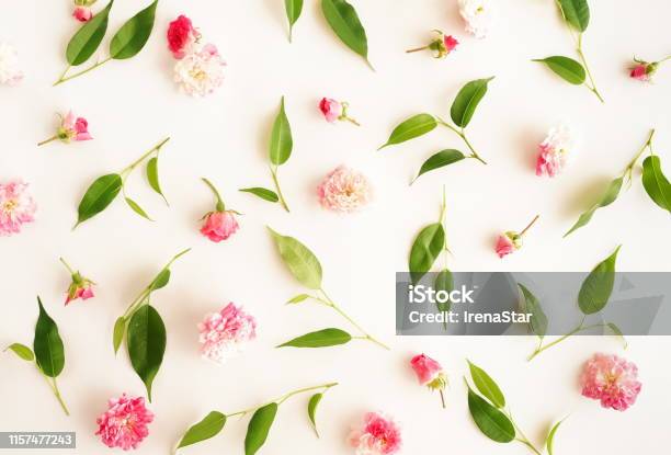 Flowers Composition Pattern Made Of Pink Roses Flowers And Green Leaves flowers-composition-pattern-made-of-pink-roses-flowers-and-green-leaves