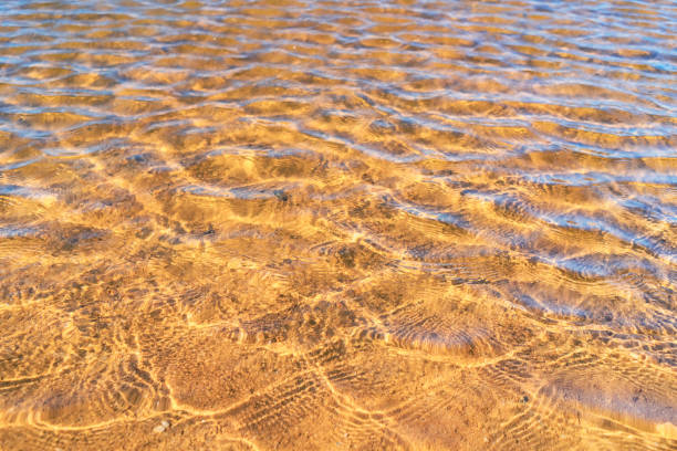 istock Clear smooth wave beach with sand texture background. Copy space on nature and environment concept. 1157478299