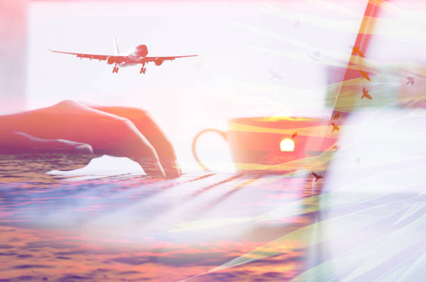istock Close up woman hand using keyboard notebook double exposure nature tropical green leaf and airplane. Business economic technology working and travel relax concept. Vintage tone filter effect color style 1157480044