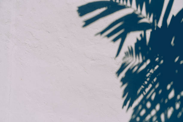 istock Copy space of shadow palm leaf on sand beach texture background. Summer vacation and holiday relax concept. 1157481248