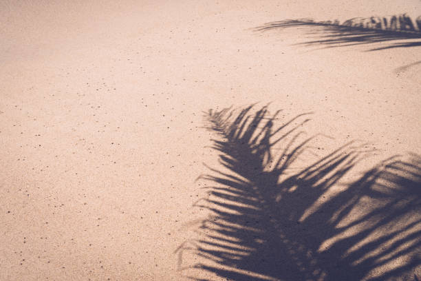 istock Copy space of shadow palm leaf on sand beach texture background. Summer vacation and holiday relax concept. 1157481261