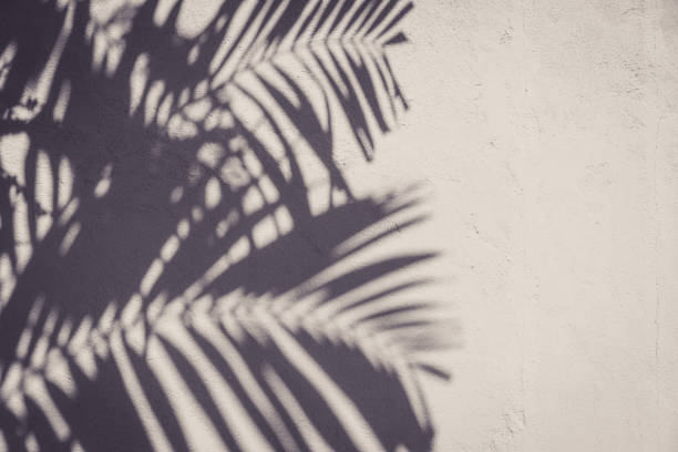 istock Copy space of shadow palm leaf on sand beach texture background. Summer vacation and holiday relax concept. 1157481318
