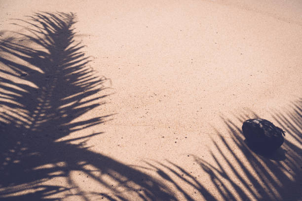 istock Copy space of shadow palm leaf on sand beach texture background. Summer vacation and holiday relax concept. 1157481328