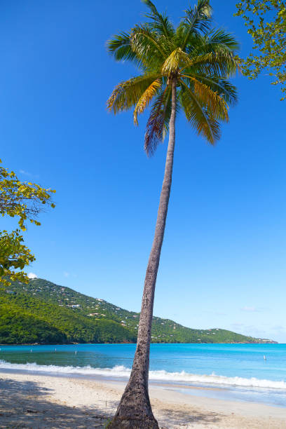 istock Magens Bay paradise on St. Thomas Island, US VI. 1157482379