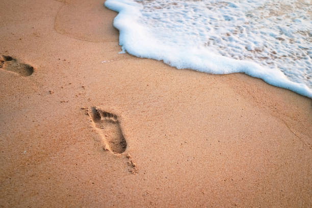 istock Copy space of smooth wave and footprint on sand beach texture background. Summer vacation and business travel freedom adventure concept. Vintage tone filter effect color style. 1157482596