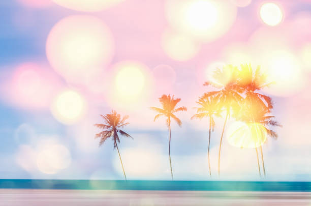 istock Copy space of tropical palm tree with sun light on blue sky and white cloud double exposure colorful bokeh light abstract background. Summer vacation and nature travel adventure concept. Vintage tone filter effect color style. 1157483528