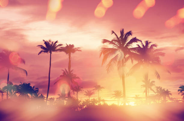 istock Copy space silhouette tropical palm tree colorful bokeh sun light on sunset sky cloud abstract background. Summer vacation and nature travel adventure concept. Vintage tone filter effect color style. 1157483560