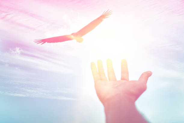 istock Freedom and feel good concept. Man hand open and eagle bird fly on sunset abstract background. Vintage tone filter effect color style. 1157486325