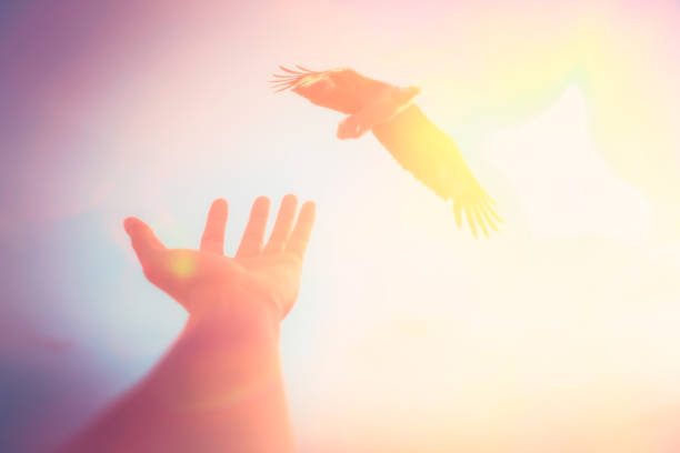 istock Freedom and feel good concept. Man hand open and eagle bird fly on sunset abstract background. Vintage tone filter effect color style. 1157486358