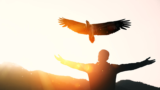 Man raise hand up on top of mountain and sunset sky star with eagle bird fly abstract background. Copy space freedom travel adventure and business victory concept. Vintage tone filter effect color style.