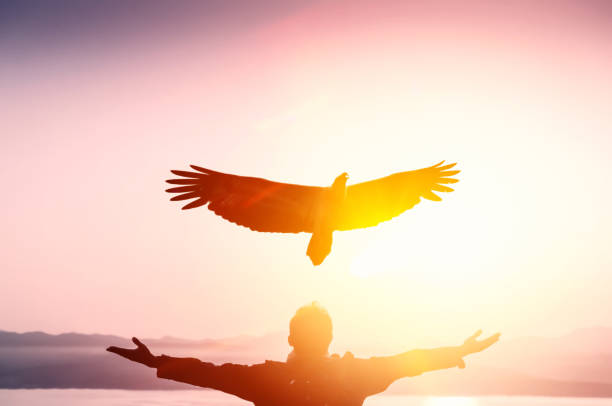 istock Man raise hand up at beach and sunset sky with eagle bird fly abstract background. Copy space freedom travel adventure and business victory concept. Vintage tone filter effect color style. 1157488150