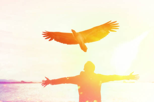 istock Man raise hand up at beach and sunset sky with eagle bird fly abstract background. Copy space freedom travel adventure and business victory concept. Vintage tone filter effect color style. 1157488154