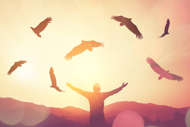 Man raise hand up on top of mountain and sunset sky with eagle birds fly abstract background. Copy space freedom travel adventure and business victory concept. Vintage tone filter effect color style. el hombre levanta la mano en la cima de la montaña y el cielo del atardecer con aves águila vuelan fondo abstracto. copiar espacio libertad viaje aventura y concepto de victoria de negocios. estilo de color efecto de filtro de tono vintage.