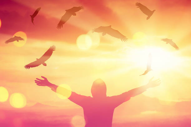 Man raise hand up on top of mountain and sunset sky with eagle birds fly abstract background. Copy space freedom travel adventure and business victory concept. Vintage tone filter effect color style. el hombre levanta la mano en la cima de la montaña y el cielo del atardecer con aves águila vuelan fondo abstracto. copiar espacio libertad viaje aventura y concepto de victoria de negocios. estilo de color efecto de filtro de tono vintage.