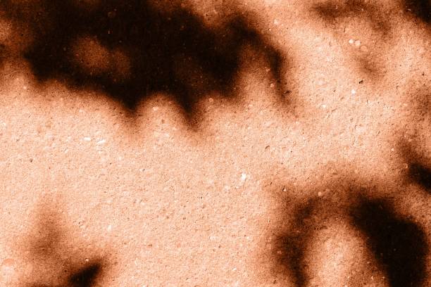 istock Asphalt surface with the shadow of tree branches close up. Abstract background orange color toned 1157490388