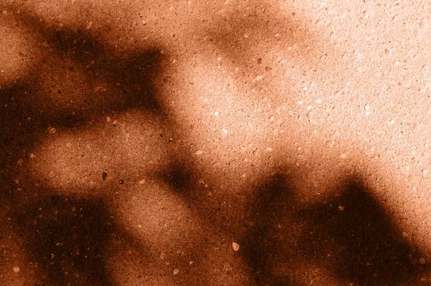 istock Asphalt surface with the shadow of tree branches close up. Abstract background orange color toned 1157490389