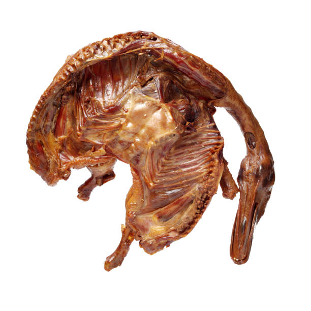 istock Shanghai Sauce duck on white background 1157495131