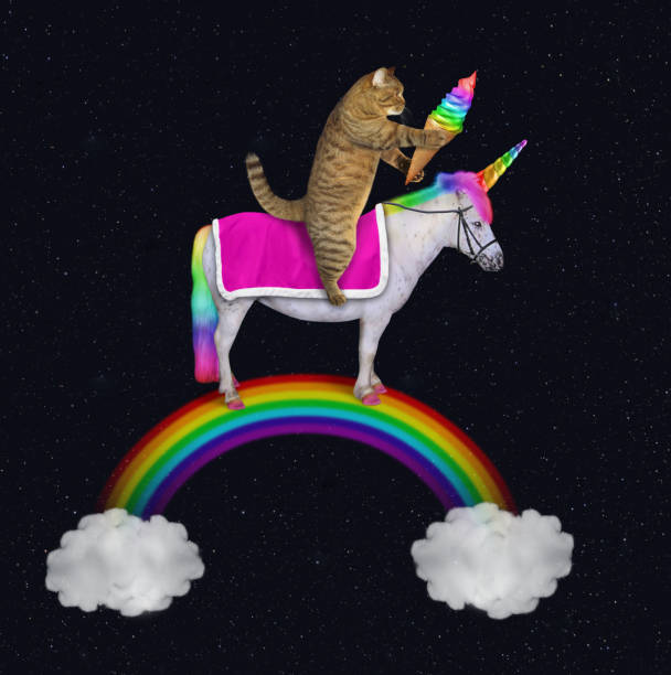 istock Cat rides an unicorn on the rainbow 1157496213