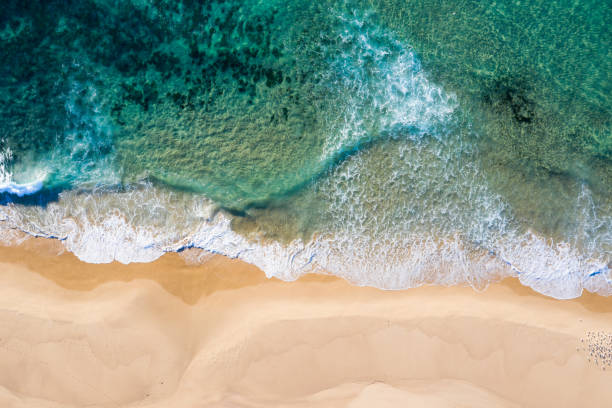 istock Nobbys Beach - NSW Australia 1157499994