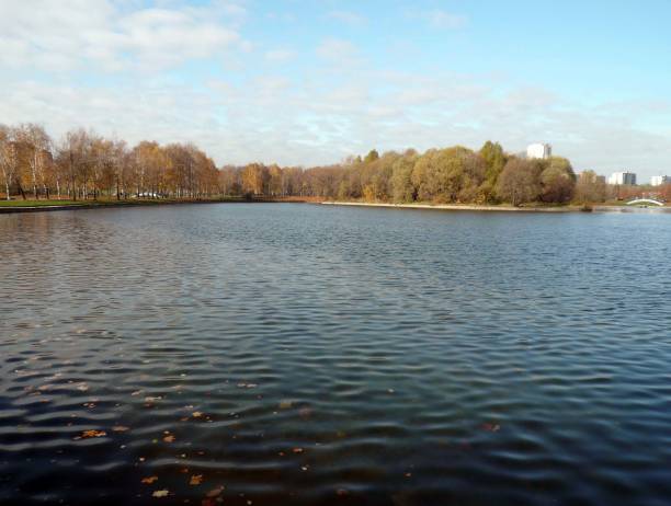 istock autumn in city park at day 1157501356