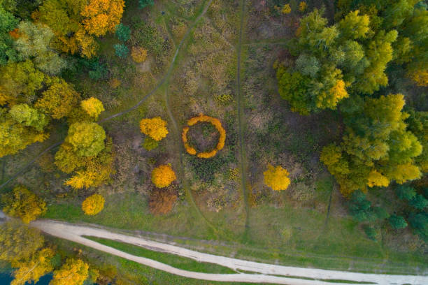 Top view of the autumn park and flower bed. Top view of the autumn park and flower bed. Aerial photography in the Izmailovo Park. yellowed edges stock pictures, royalty-free photos & images