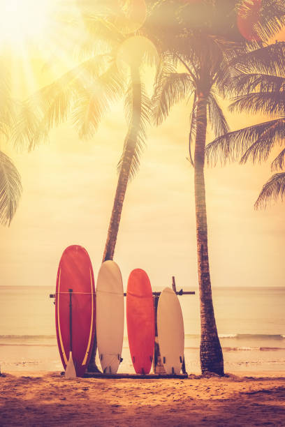 istock Surfboard and palm tree on beach double exposure with colorful bokeh sun light texture abstract background. Summer vacation and sport extreme concept. Vintage tone filter color style. 1157501710