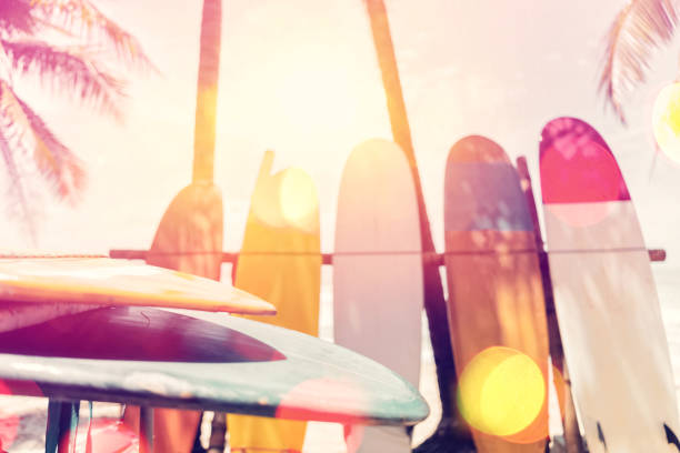 istock Surfboard and palm tree on beach double exposure with colorful bokeh sun light texture abstract background. Summer vacation and sport extreme concept. Vintage tone filter color style. 1157501890