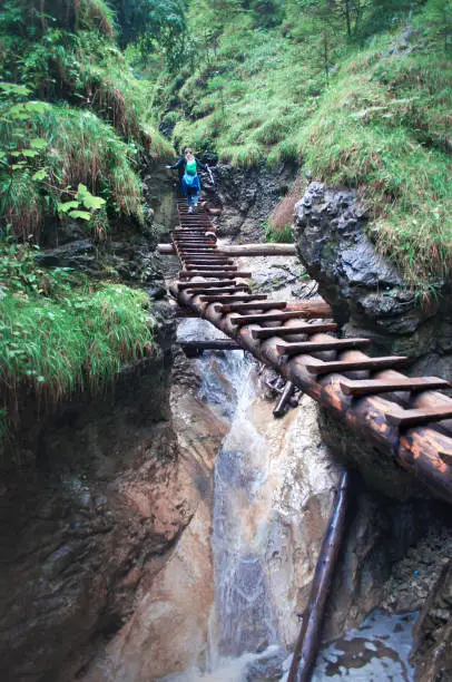 Photo of Back of one young woman on a wooden ladder in Sucha Bela canyon, Slovensky Raj. Dark green foliage, verdant grass, huge rocks. Extreme sports, adventure, active leisure, hiking, challenge