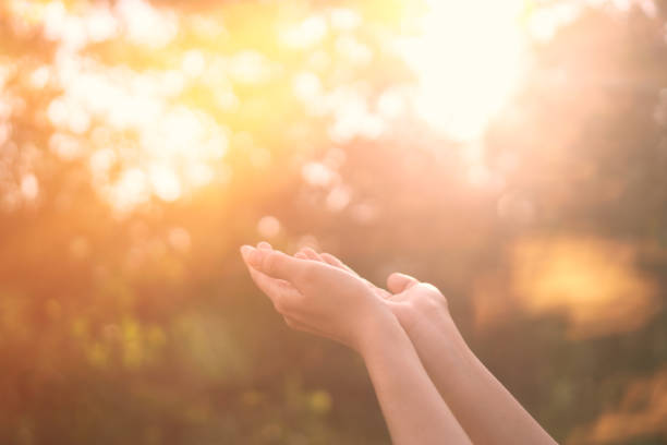 istock Woman open hand up to sunset sky and green blur leaf bokeh sun light abstract background. Vintage tone filter effect color style. 1157504302