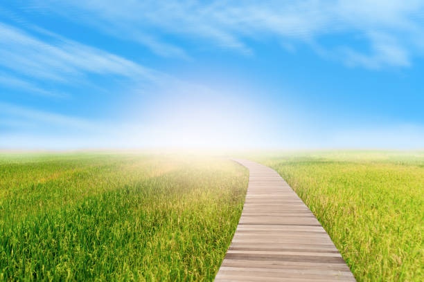istock Wooden walkway on green rice field with blue sky and white cloud abstract background. Business and freedom concept. Vintage tone filter effect color style. 1157504334