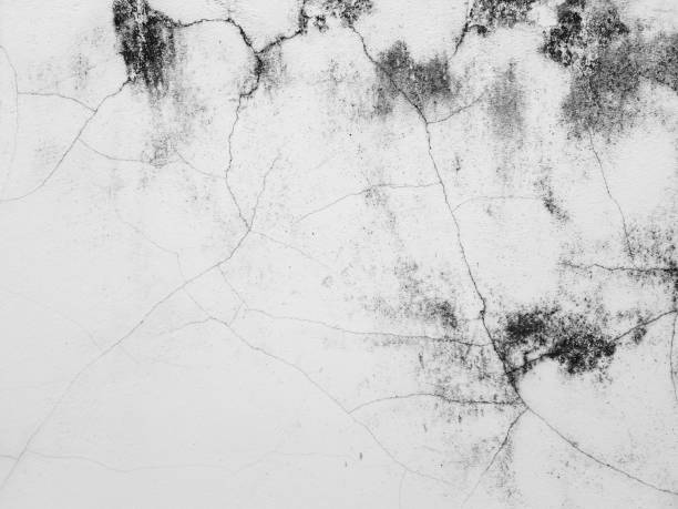 istock cement walls outside the building with cracks and mold stains 1157505469