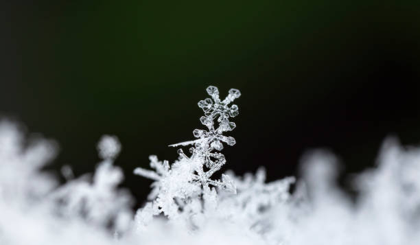 istock natural snowflakes on snow, winter 1157506723