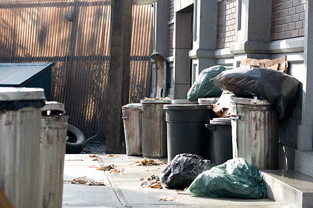 istock Morning light on back alley with garbage bags and cans. 115750828