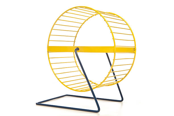 istock Yellow hamster wheel isolated on white. 115751128