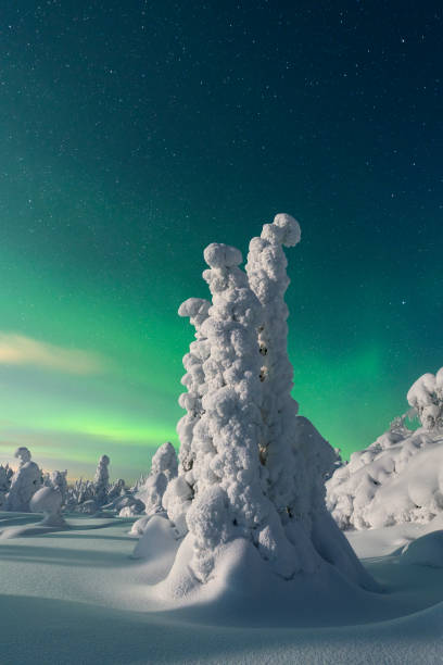 istock Beautiful Northern Lights scenery, Arctic Circle, extremely cold winter environment 1157513741