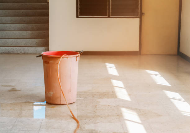 istock water leak drop interior office building in red bucket from Ceiling and flow on terrazzo floor 1157518082