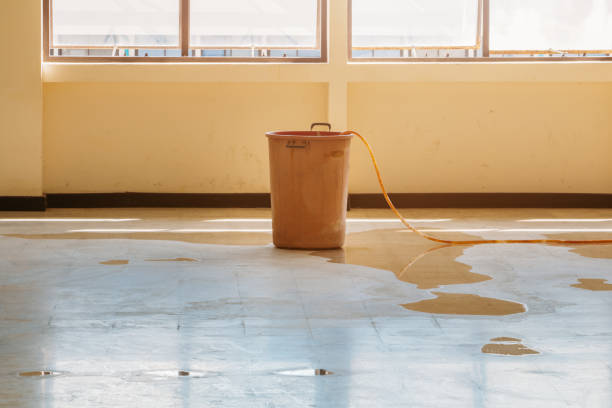 istock water leak drop interior office building in red bucket from Ceiling and flow on terrazzo floor 1157518124